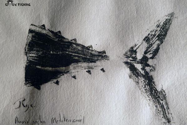_37_Gyotaku - Souvenirs de Méditerranée