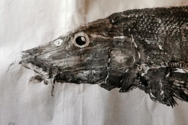 _42_Gyotaku - Barbeau fluviatile