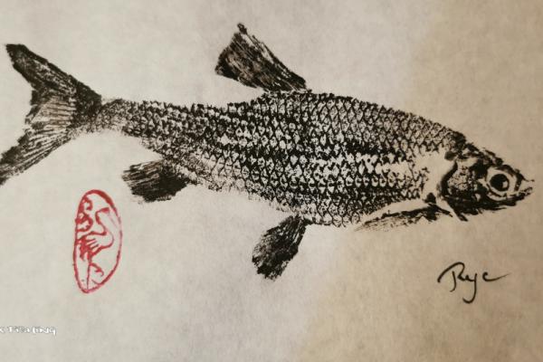_43_Gyotaku - Gardon collection 