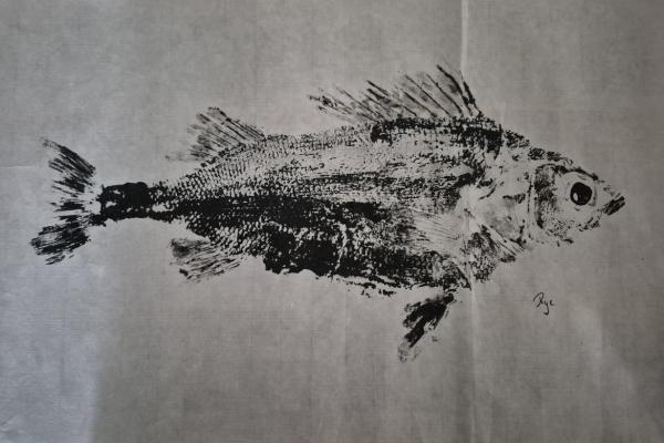 _46_Gyotaku - perche collection
