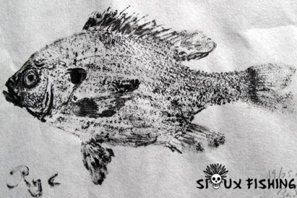8_Gyotaku - Perches soleil collection 2
