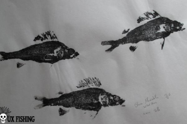 1_Gyotaku - Perches Collection